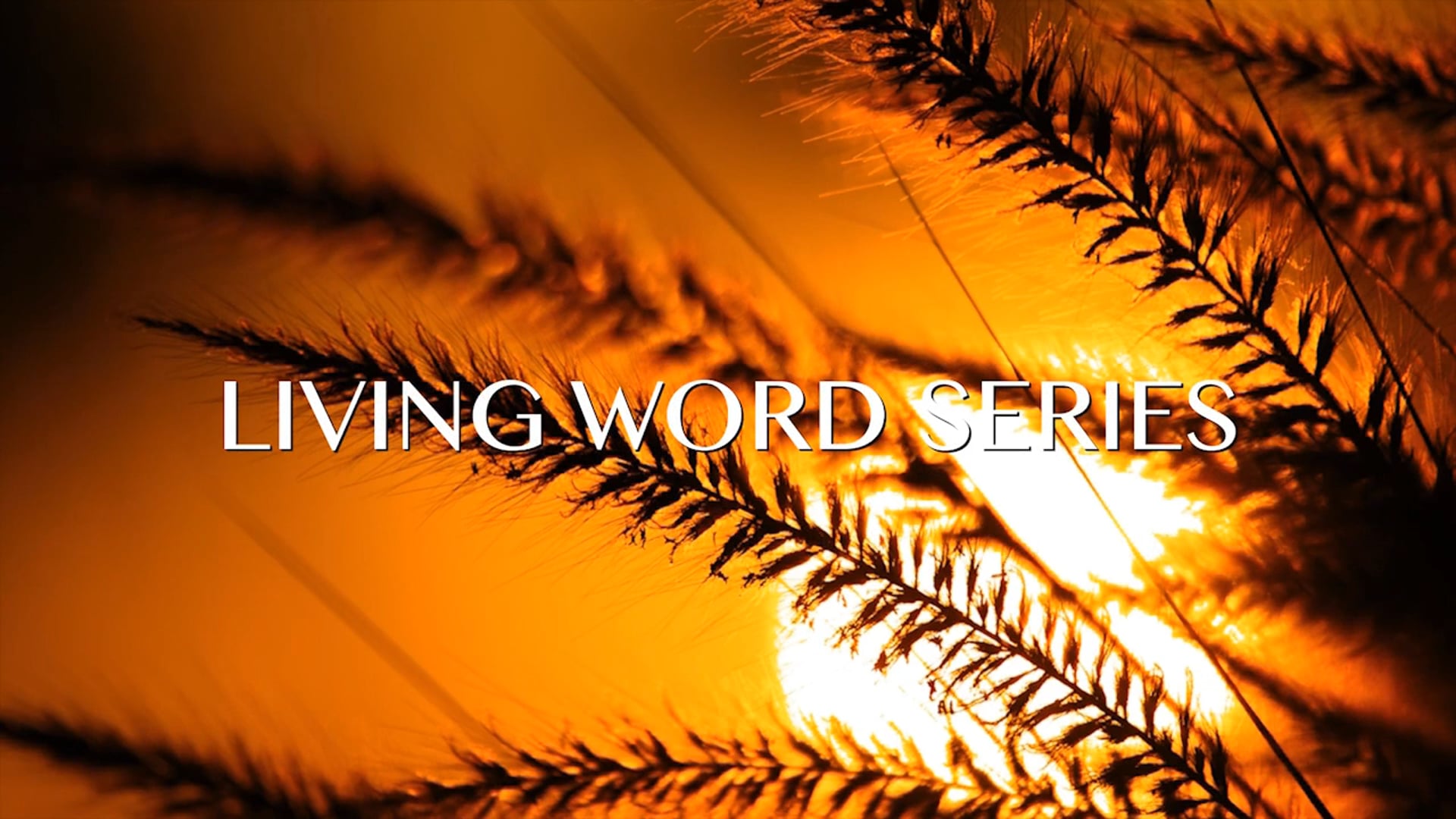 Screenshot of online series "Living Word"